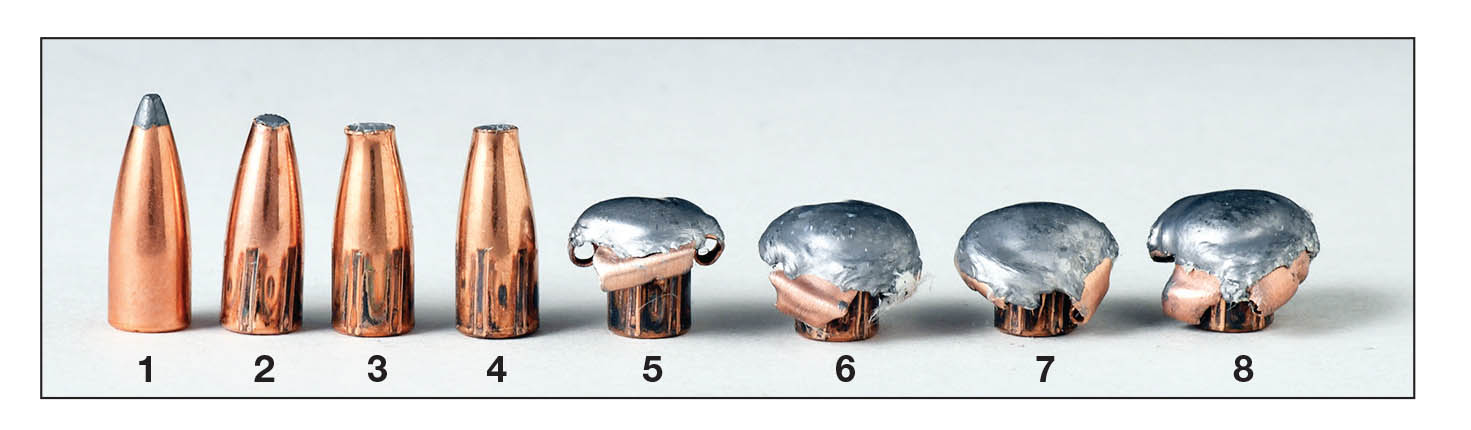 These bullets illustrate the type of expansion from a Sierra 45-grain high velocity spitzer at various impact velocities: (1) an unfired bullet, (2) a bullet with an impact velocity of 2,093 fps, (3) 2,154 fps, (4) 2,252 fps, (5) 2,310 fps, (6) 2,351 fps, (7) 2,464 fps and (8) 2,539 fps. The expansion difference between 2,252 fps and 2,310 fps is dramatic but consistent.